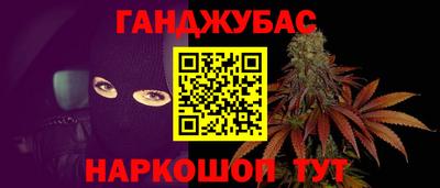 прущие грибы Кингисепп