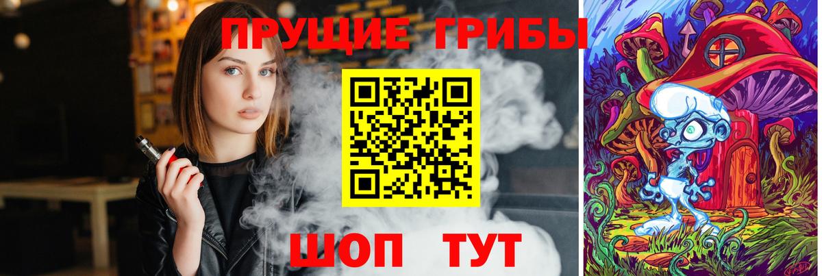 Комсомольск-на-Амуре  Псилоцибиновые грибы Psilocybine cubensis  Вход с VPN 